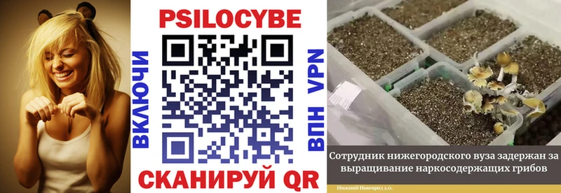 Псилоцибиновые грибы мухоморы  где найти наркотики  Остров 